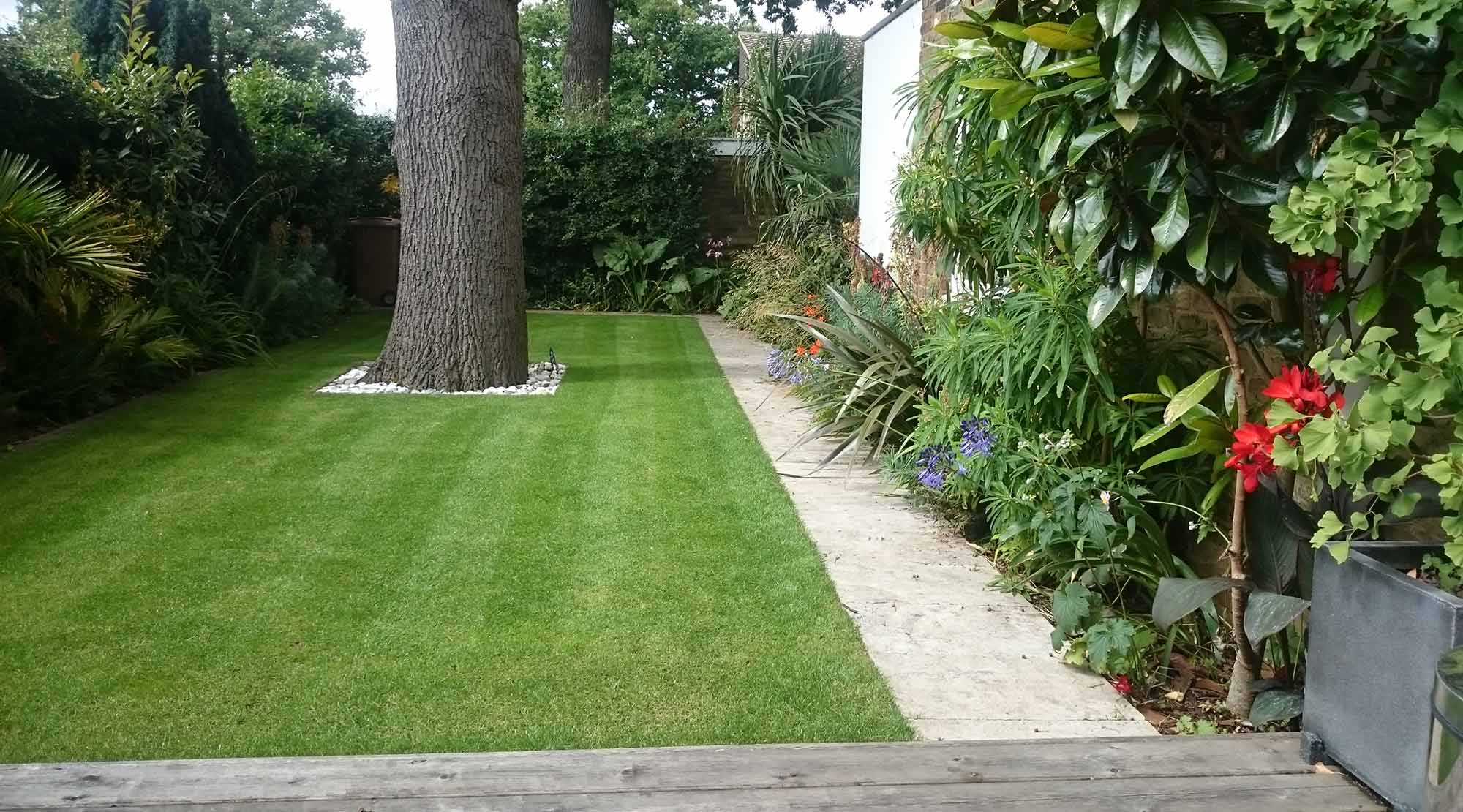 Landscope Chelmsford - garden design